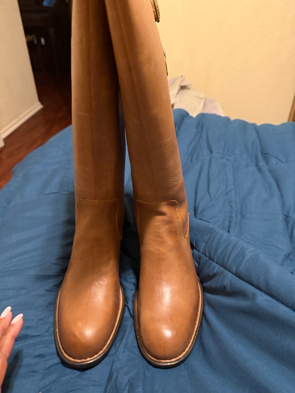 Born Over-the-Knee Leather Boots in Cognac